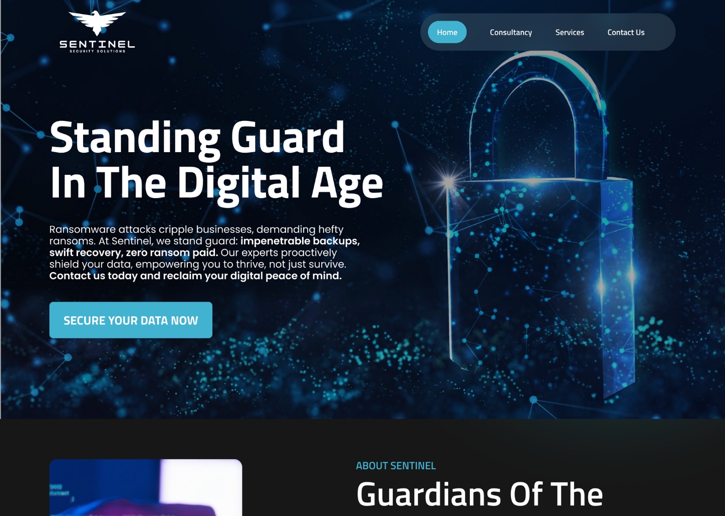 sentinel security home page mockup